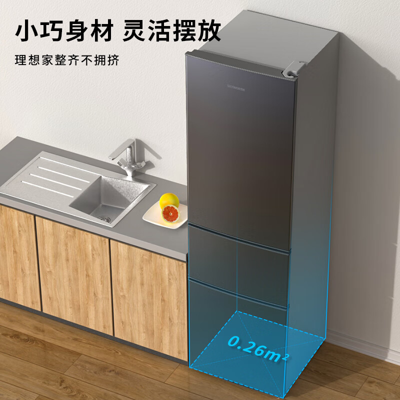 创维P21TJ冰箱图片