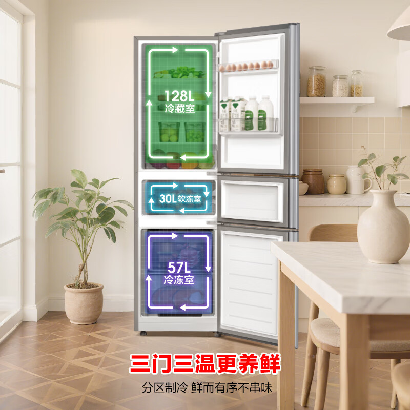 容声BCD-215E10RNLAD冰箱图片