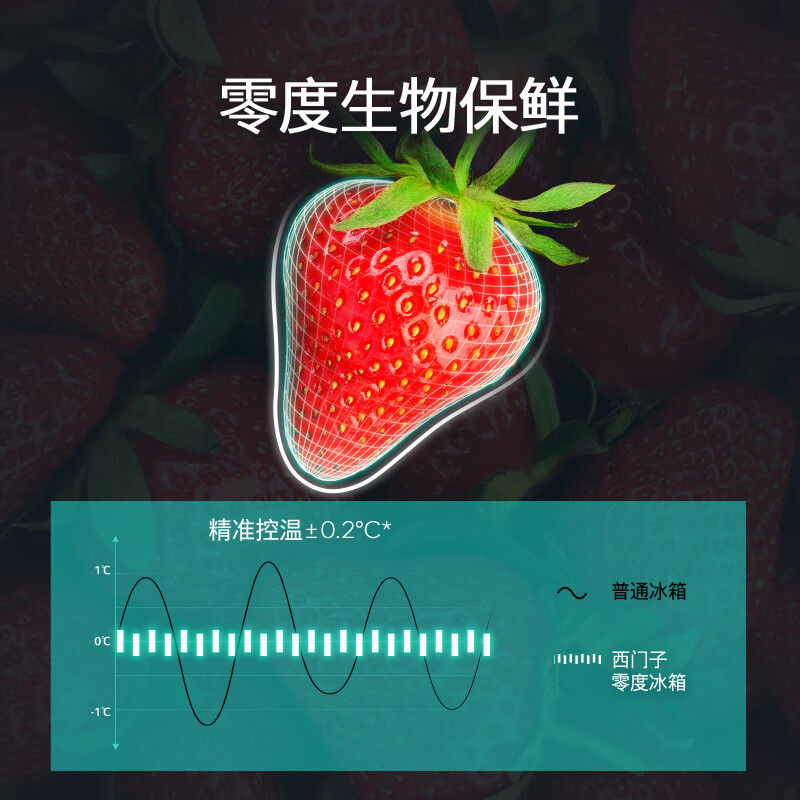 西门子KC82AA657C冰箱图片