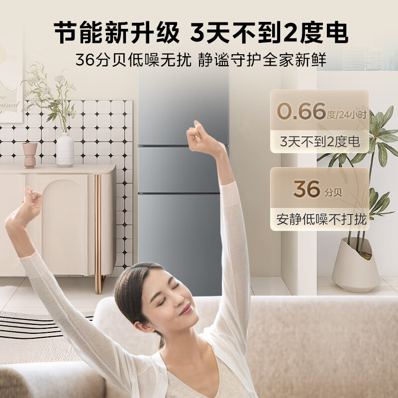 华凌HR-223T冰箱图片