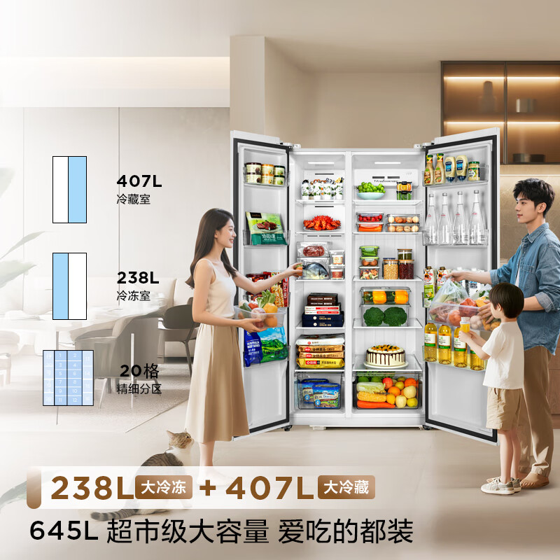 TCL-R645V5-S冰箱图片