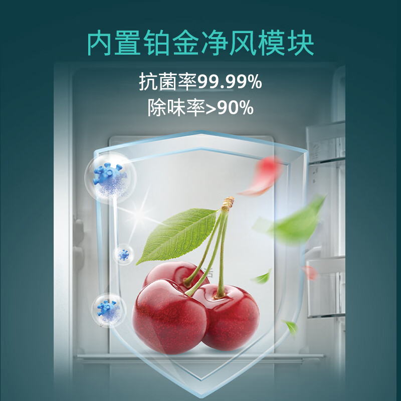 海尔BC-93GHSDE0S9冰箱图片