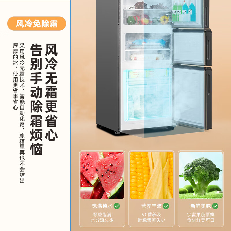 新飞BCD-210WK3CT冰箱图片