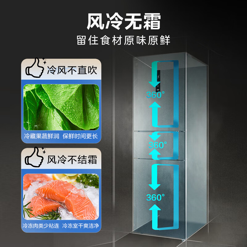 美的MR-251WTP冰箱图片