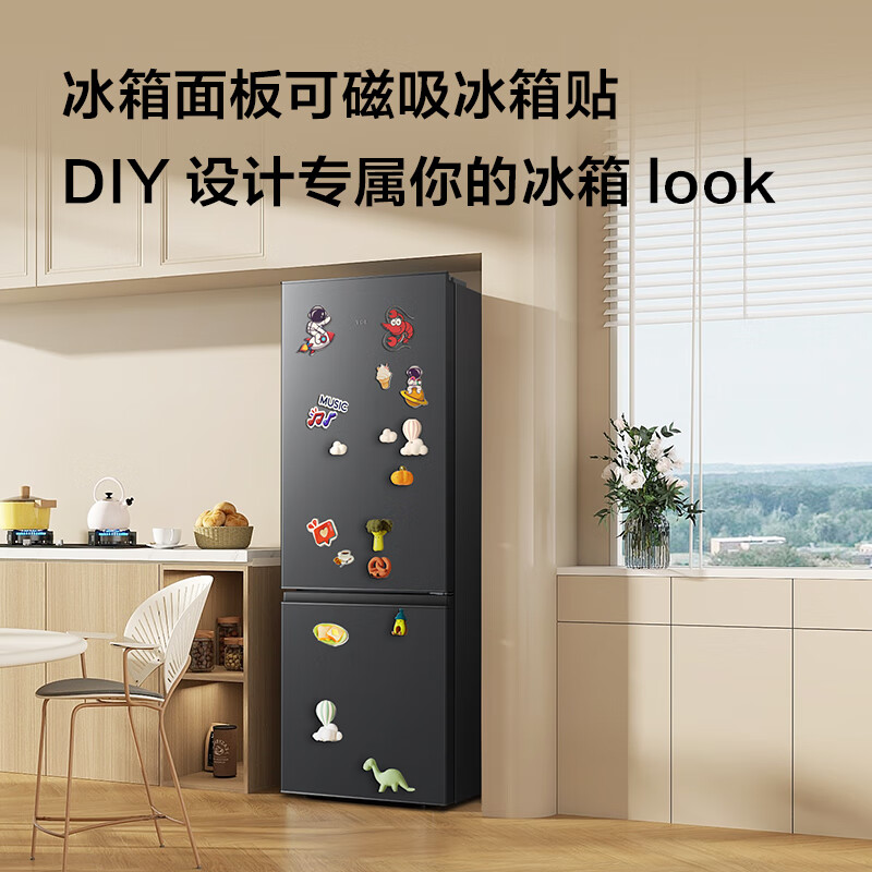 TCL-R171L1-B冰箱图片