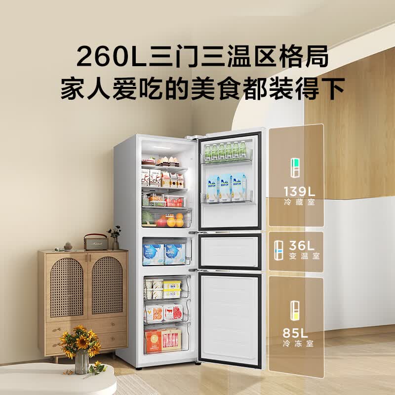 TCL-R260V5-C冰箱图片