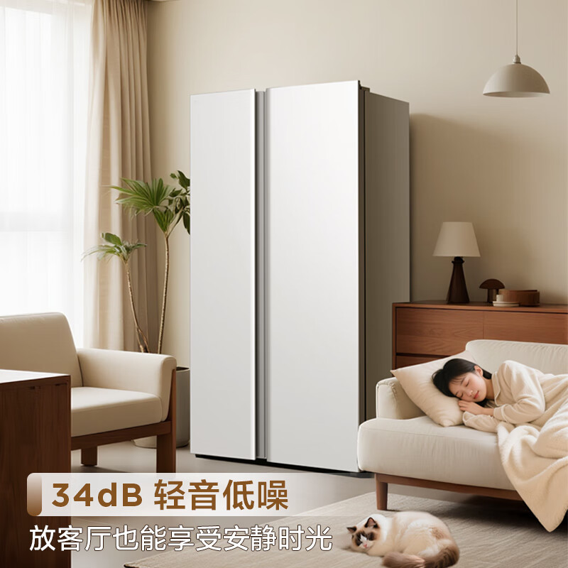 TCL-R645V5-S