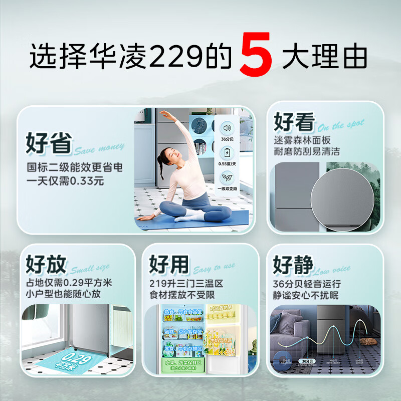 华凌HR-229T冰箱图片