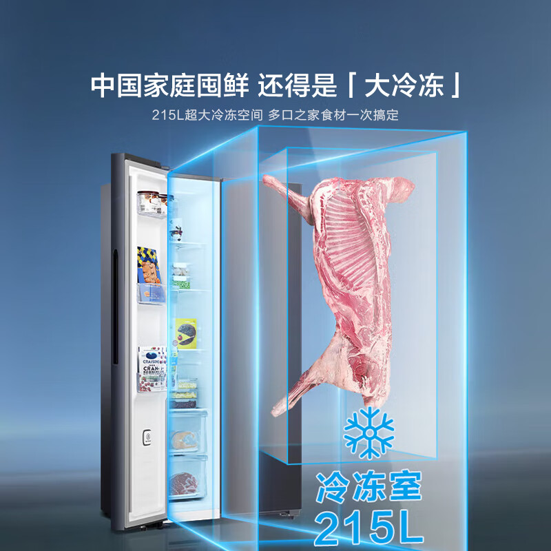 海信BCD-611WFK1DPQ冰箱图片