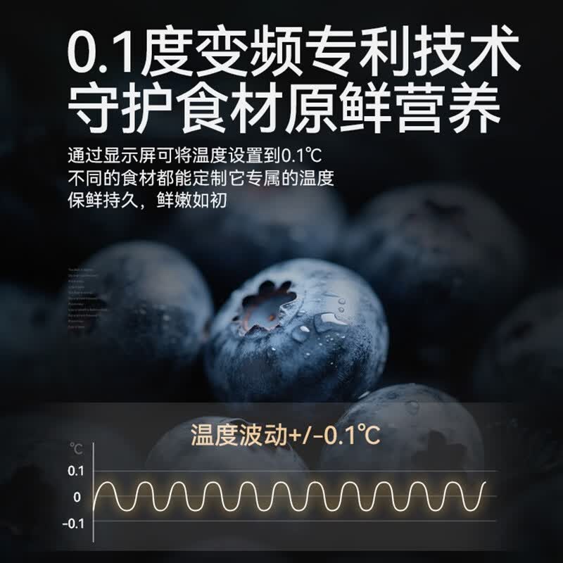 长虹CR-FW516冰箱图片