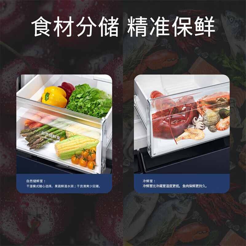 西门子K56L56CMEC冰箱图片