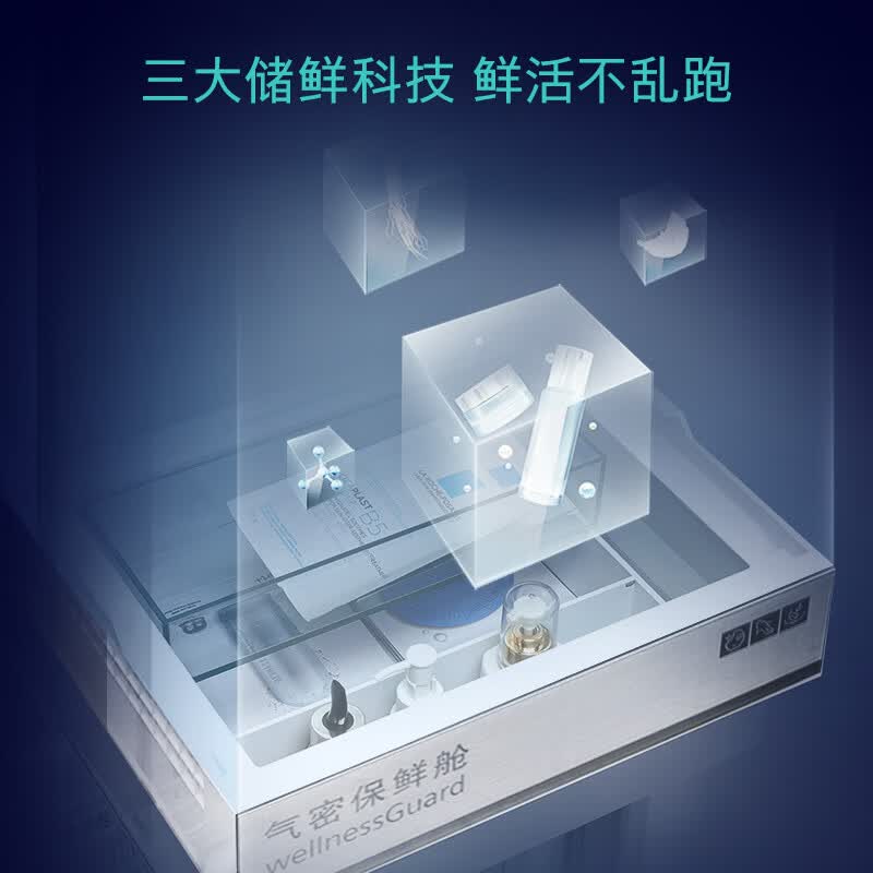 西门子KA99VA356C冰箱图片