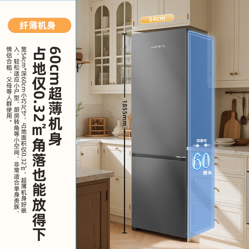 新飞BCD-311WK2AT冰箱图片