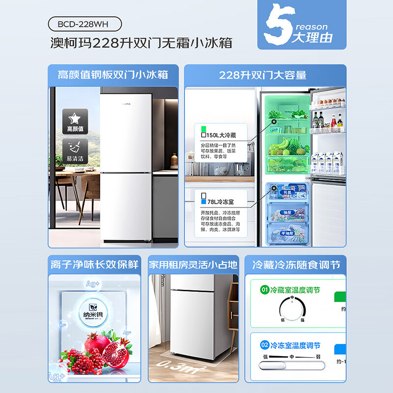 澳柯玛BCD-228WH冰箱图片