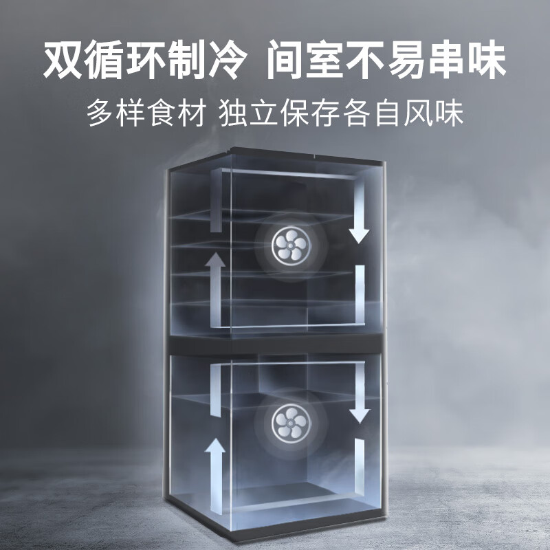 博世KFN96PA56C冰箱图片