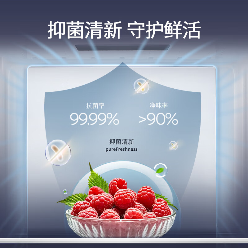 西门子KF89CE163C冰箱图片