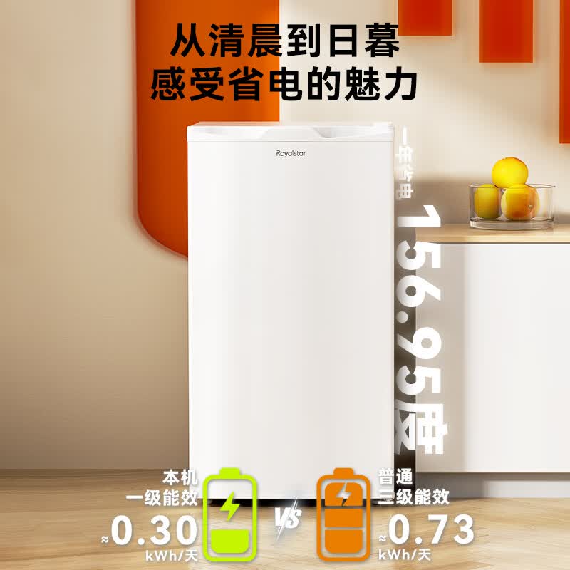 荣事达R86GB冰箱图片
