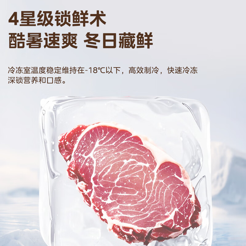 美的BCD-113MR冰箱图片