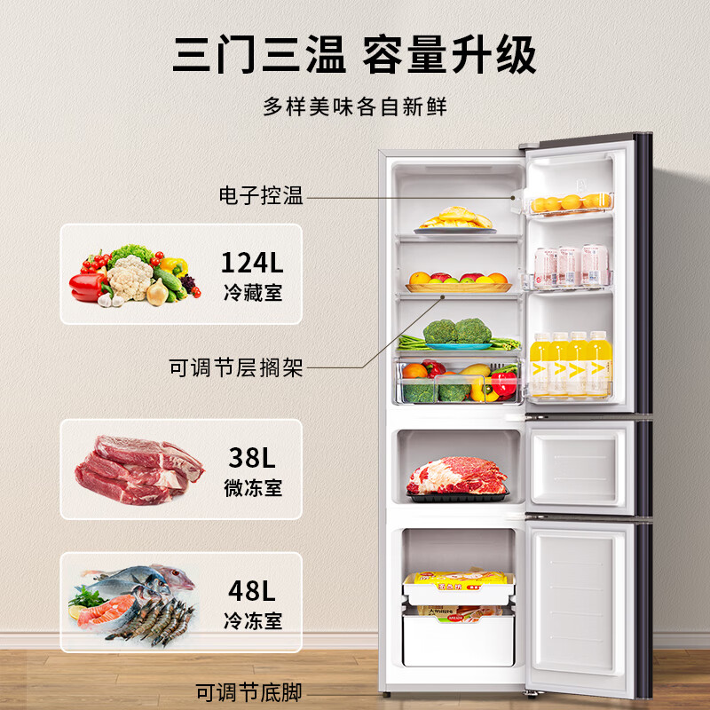 创维P21TJ冰箱图片