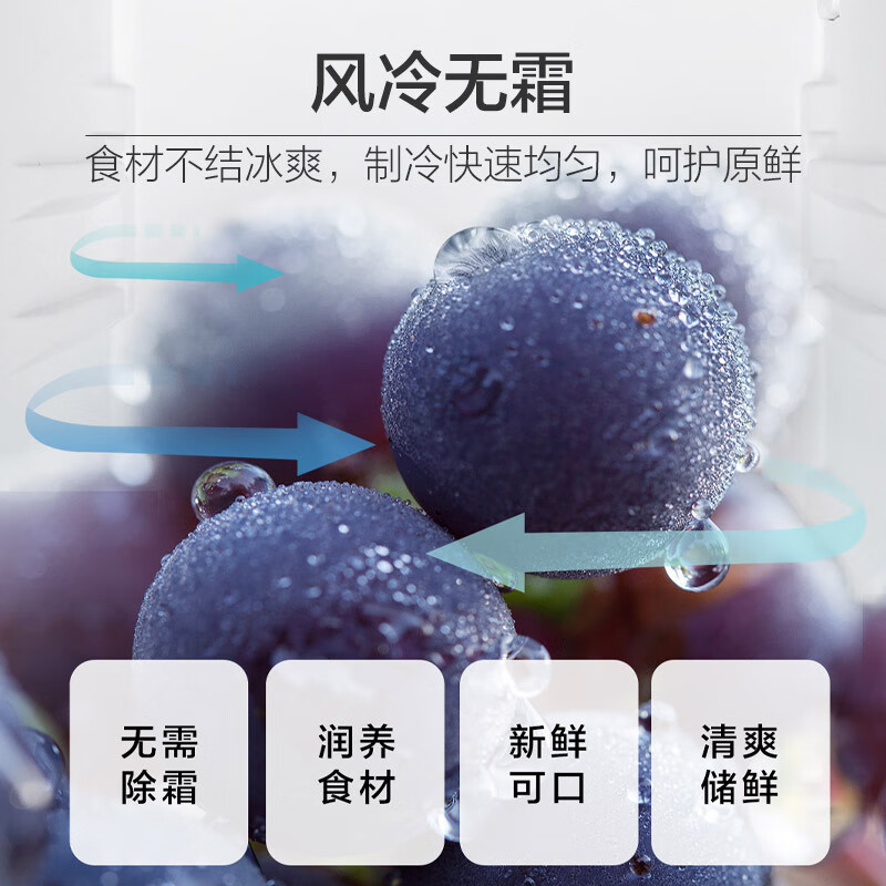 海尔BCD-190WDCO冰箱图片