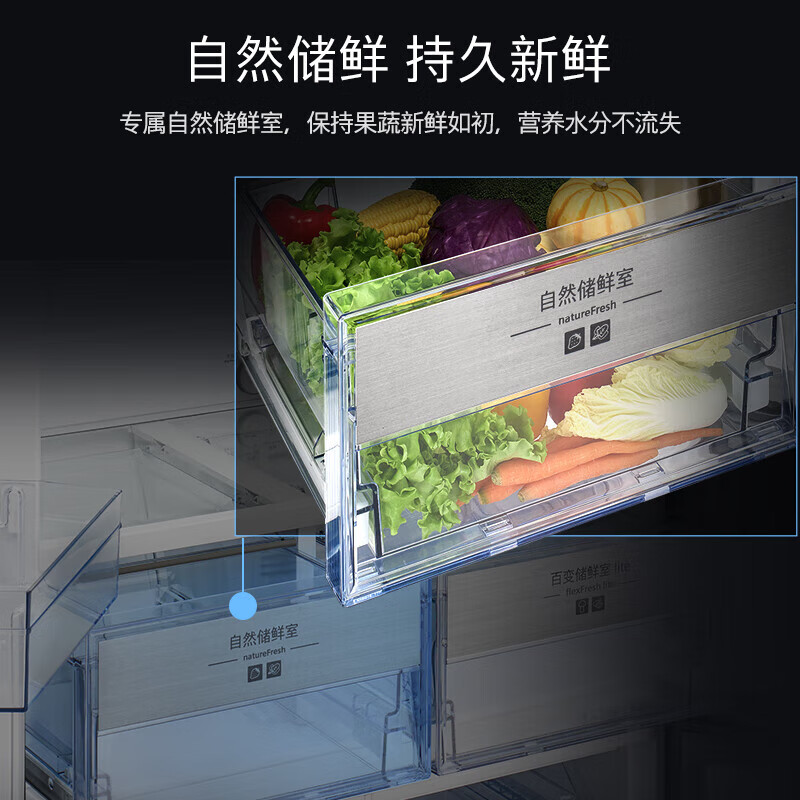 西门子KC555681EC冰箱图片