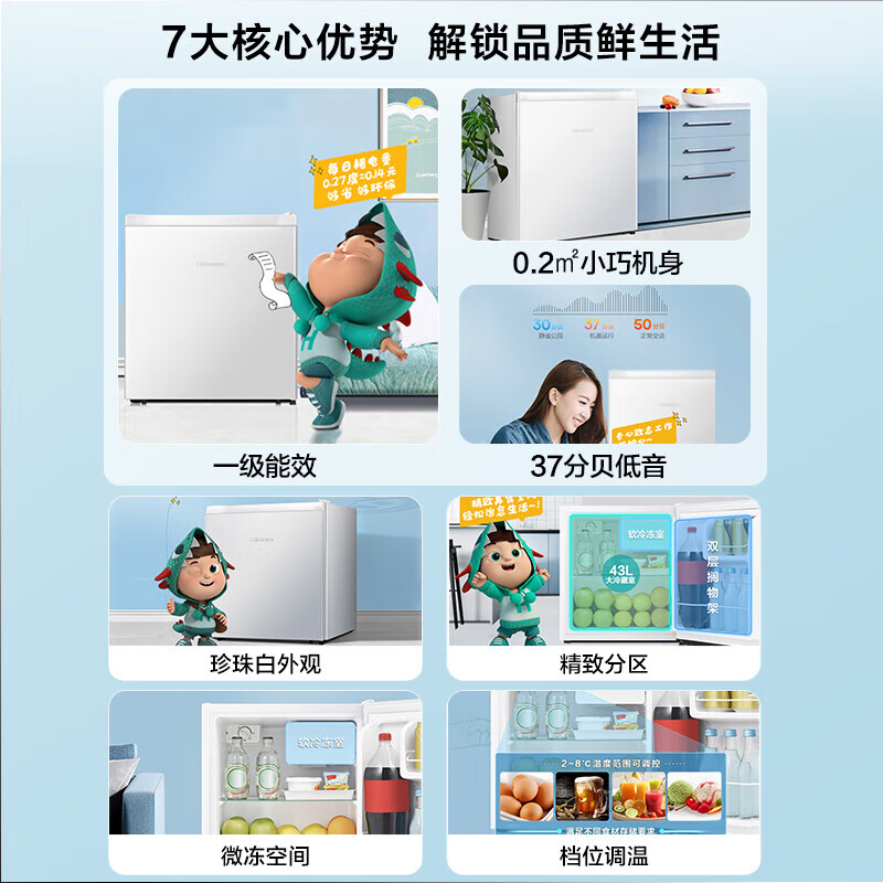 海信BC-45S/A冰箱图片