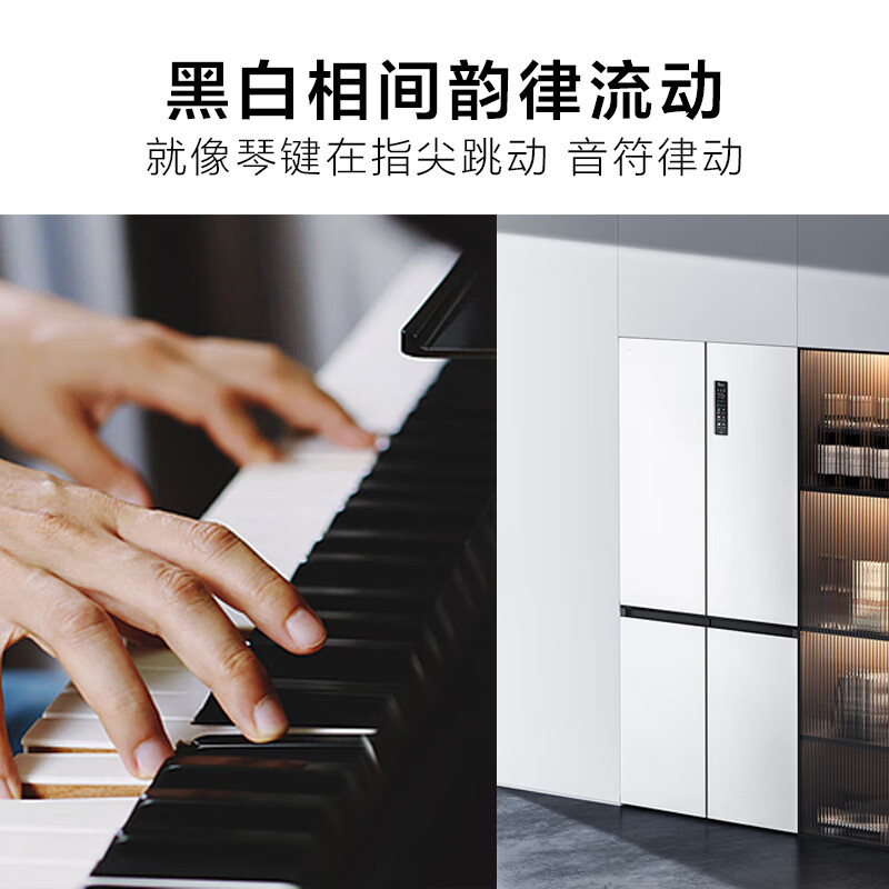 TCL-R455T9-UQB冰箱图片