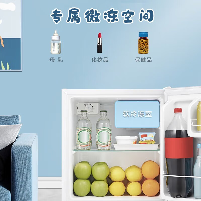 海信BC-45S/A冰箱图片