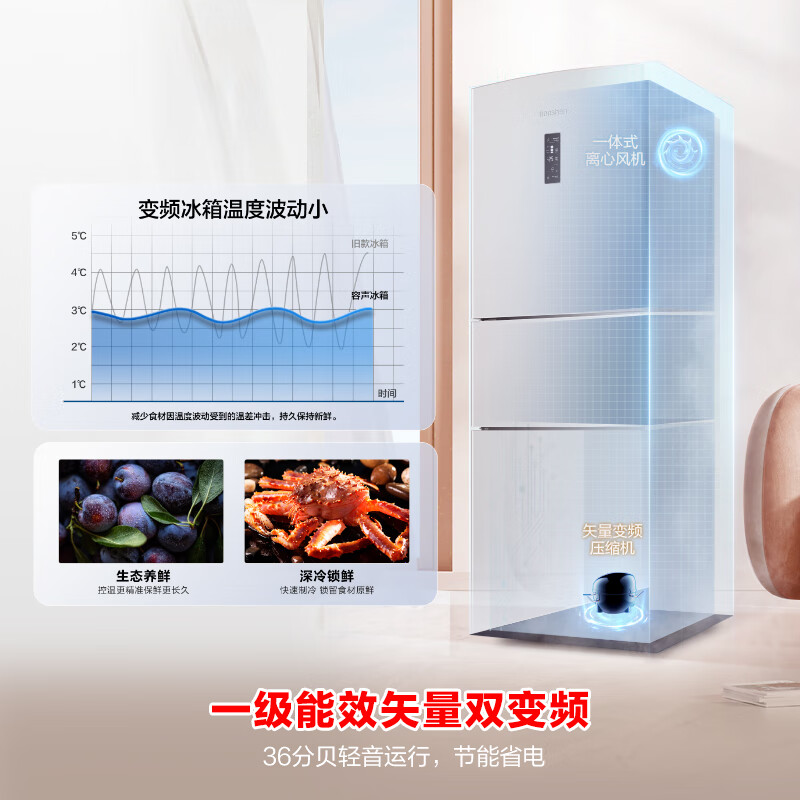 容声BCD-253WD12NP冰箱图片