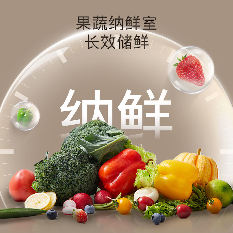 西门子KA98CE120C冰箱图片