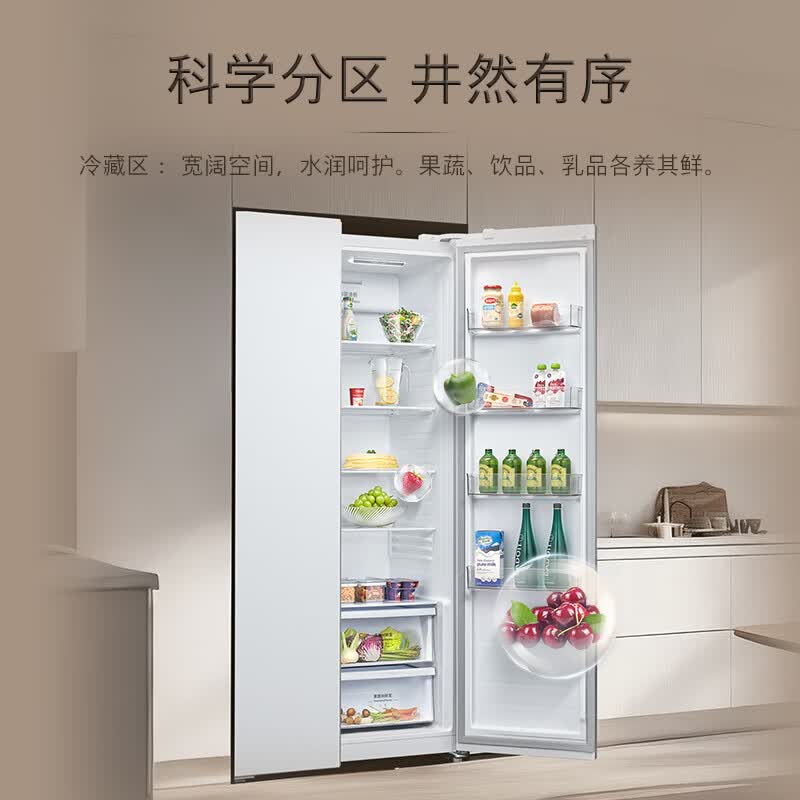 西门子KA98CE120C冰箱图片
