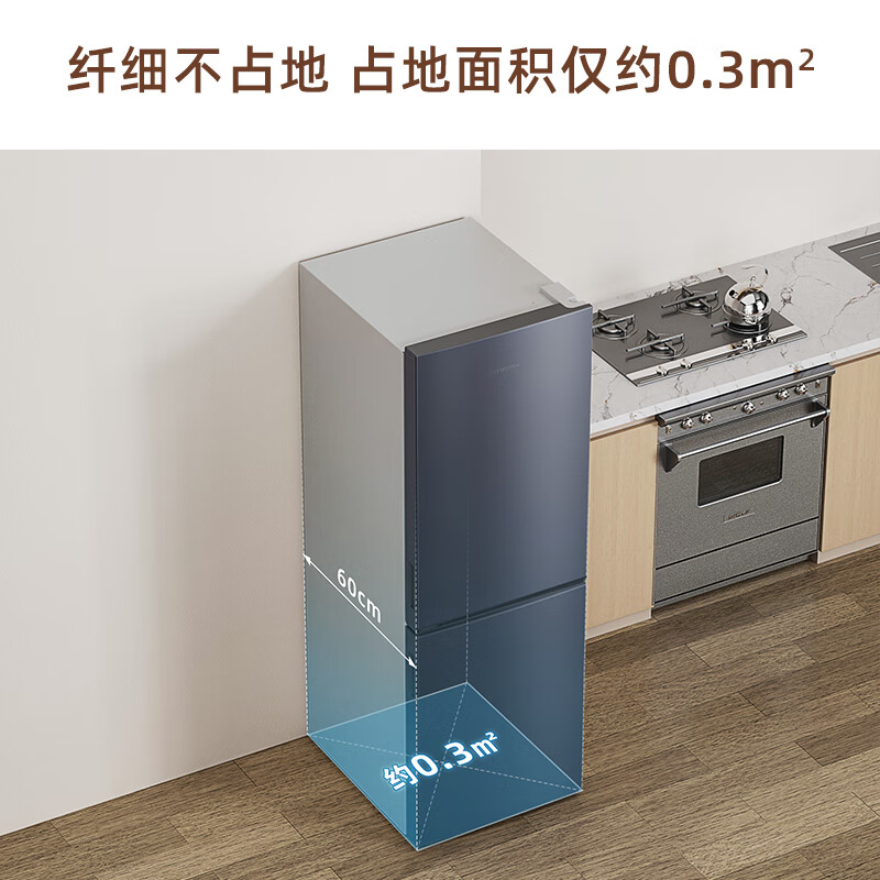 创维P18WY冰箱图片