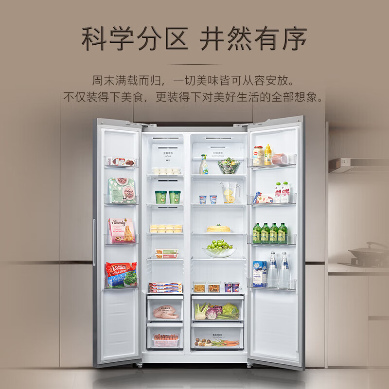 西门子KA98CE161C冰箱图片