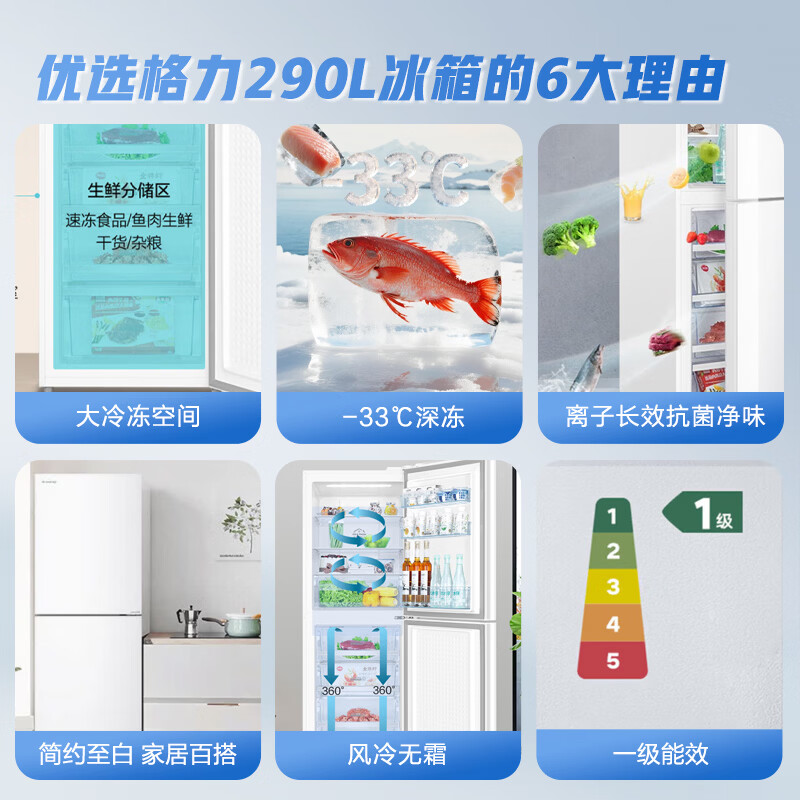 格力BCD-290WGJAG1BPDGA冰箱图片