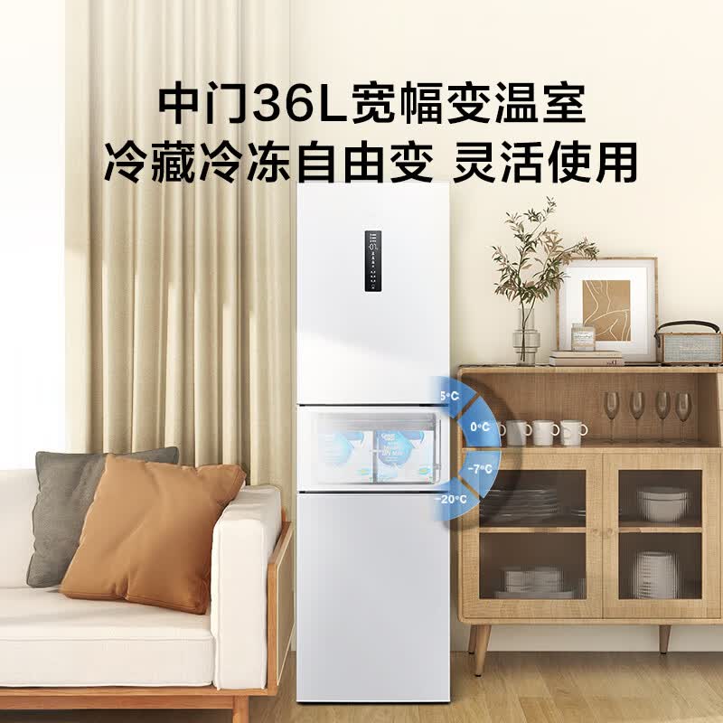 TCL-R260V5-C冰箱图片