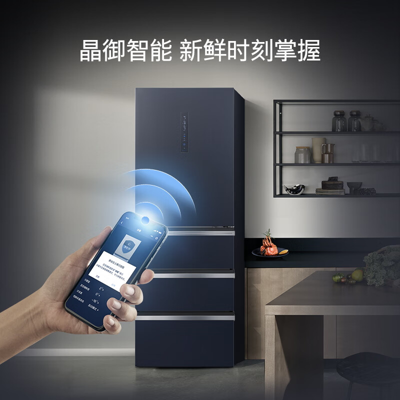 西门子KG405951VC冰箱图片