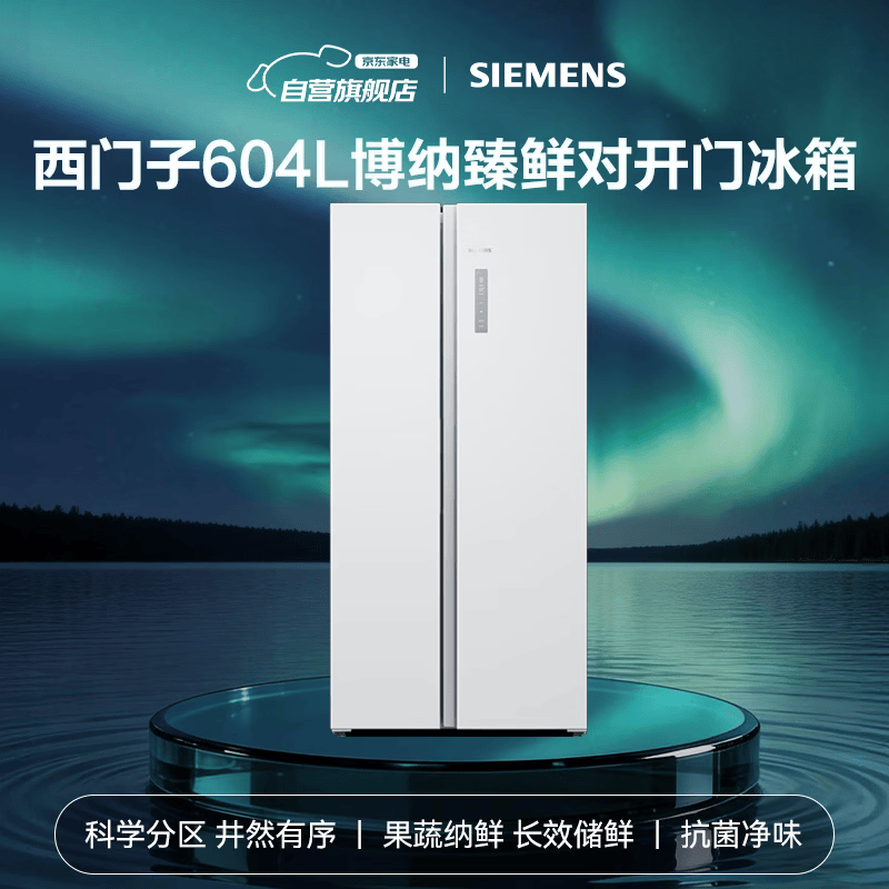 西门子KA98CE120C冰箱图片