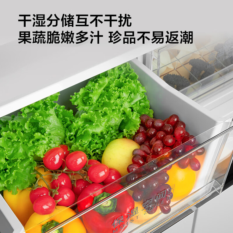 TCL-R608T9-U冰箱图片