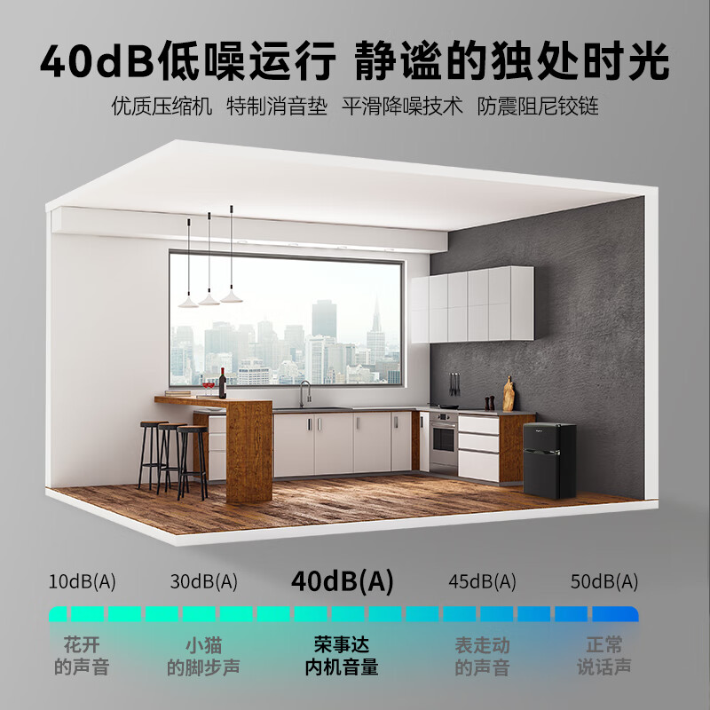 荣事达BCD-106A176冰箱图片