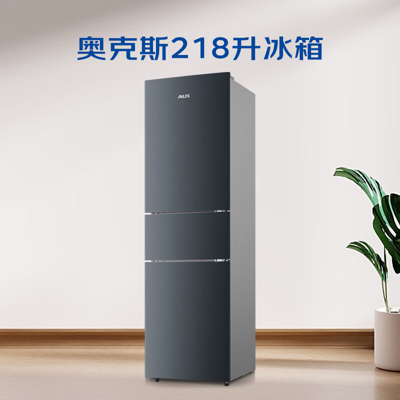 奥克斯BCD-218WN冰箱图片