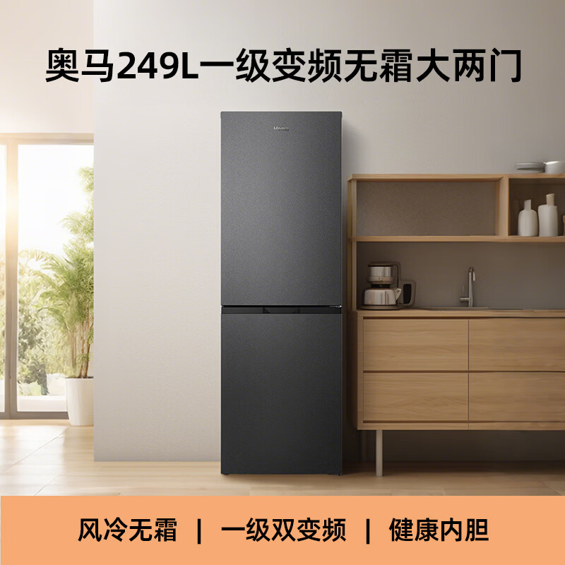 奥马249WH/B冰箱图片