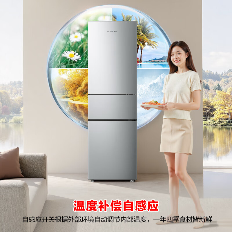 容声BCD-215E10RNLAD冰箱图片