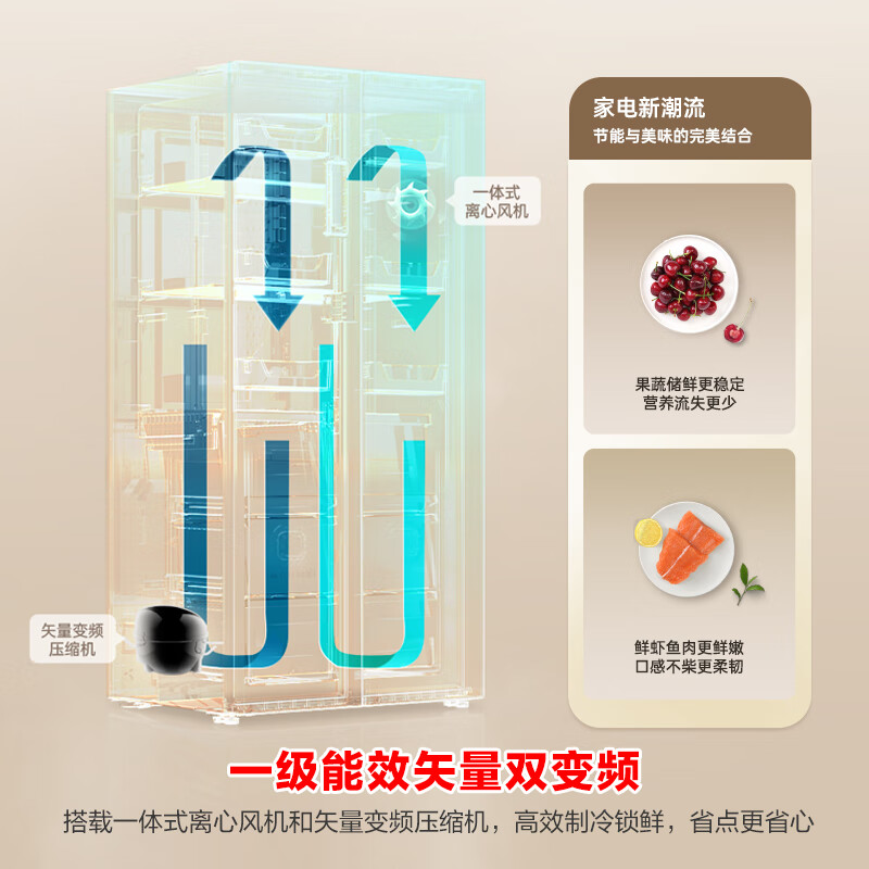 容声BCD-637WD11HP冰箱图片