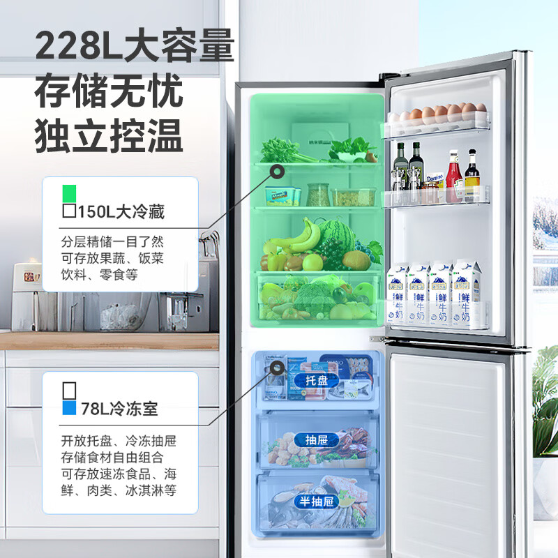 澳柯玛BCD-228WH冰箱图片