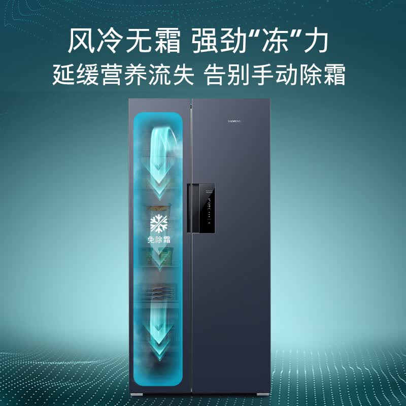 西门子KT99V1356C冰箱图片