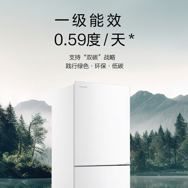 格力BCD-290WGJAG1BPDGA冰箱图片