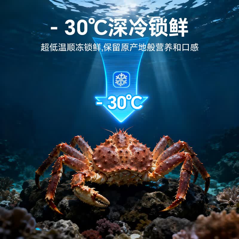 海尔BCD-218WGHC3E9BK冰箱图片