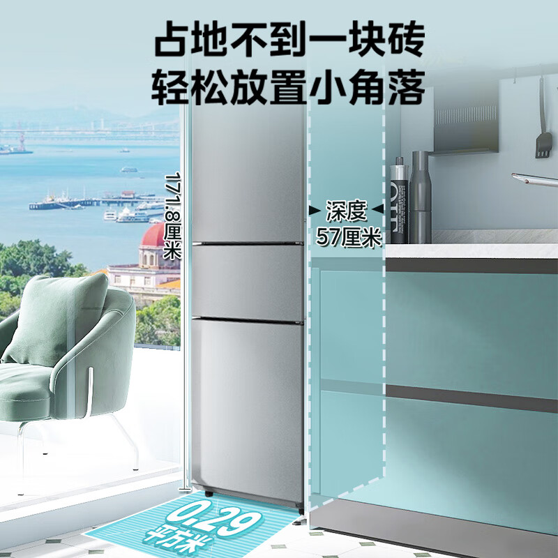 华凌HR-229T冰箱图片