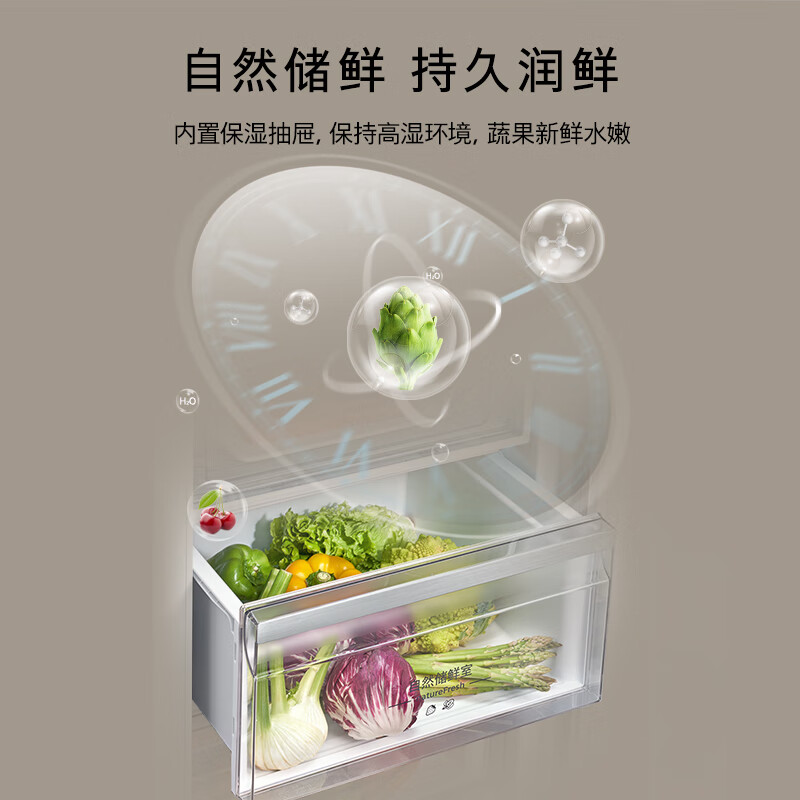 西门子KA512091EC冰箱图片