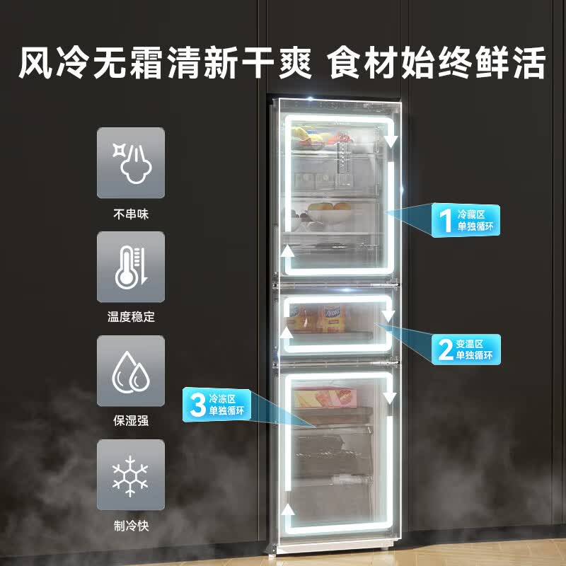 荣事达R256FT冰箱图片